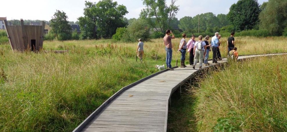 Village du Saule- MMER asbl